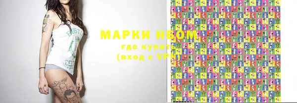 хмурый Белокуриха