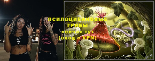 соль ск Беломорск