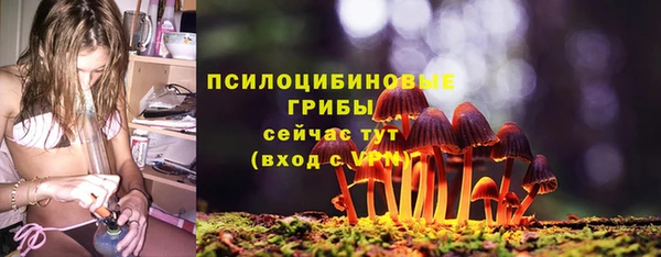 хмурый Белокуриха