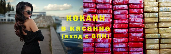 хмурый Белокуриха