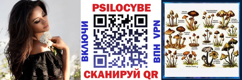 Купить закладки  Корсаков  Галлюциногенные грибы мицелий 